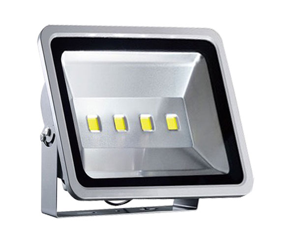 RHINO LED COB FLOODLIGHT Eurolux